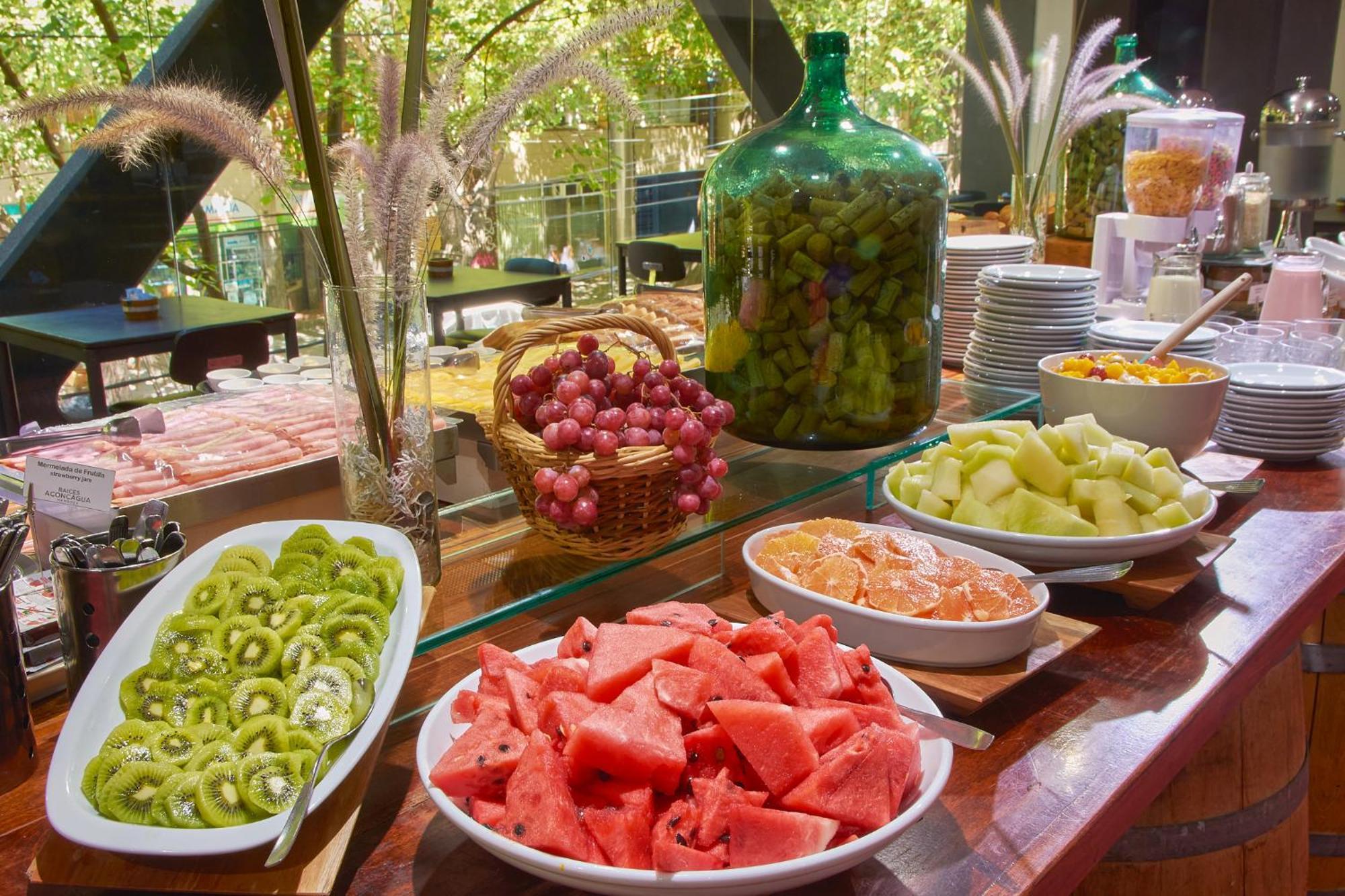 מנדוזה Hotel Raices Aconcagua מראה חיצוני תמונה